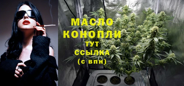 дживик Балахна