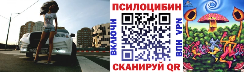 Псилоцибиновые грибы мицелий  Коммунар 